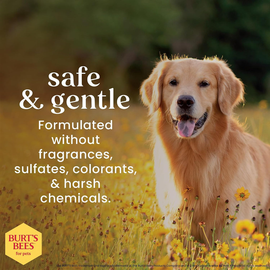 Burt's Bees for Pets Oatmeal Dog Shampoo, Puppy and Adult, 16 Fl Oz