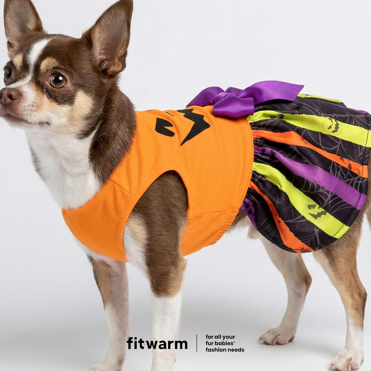 Fitwarm Halloween Pumpkin Dog Dress, Funny Dog Halloween Costumes, Doggy Clothes for Small Dogs Girl, Pet Apparel, Orang
