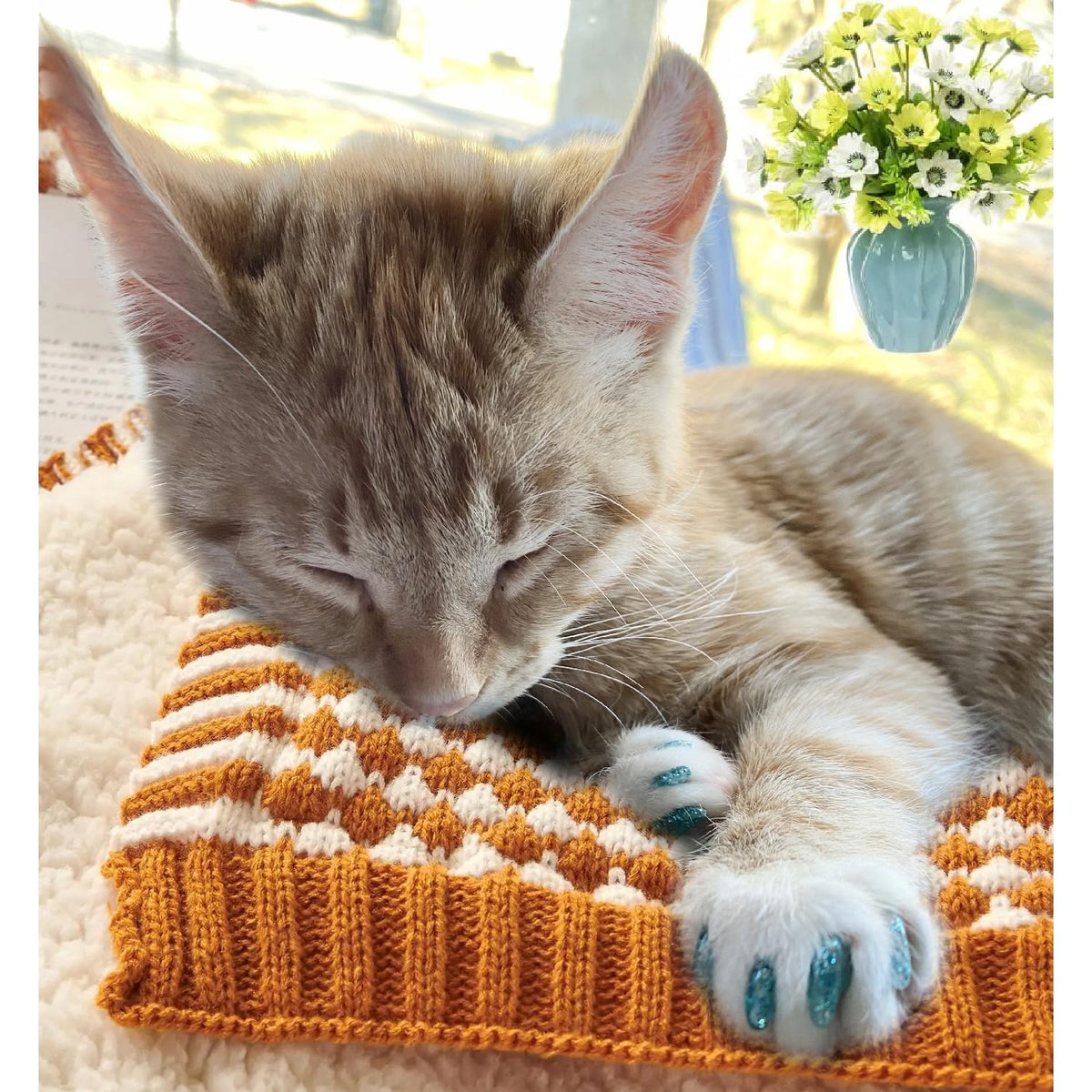 VICTHY 160pcs(16 Colors) Cat Nail Caps Cat Claw Caps Cat Nail Covers with Adhesives and Applicators (Medium)