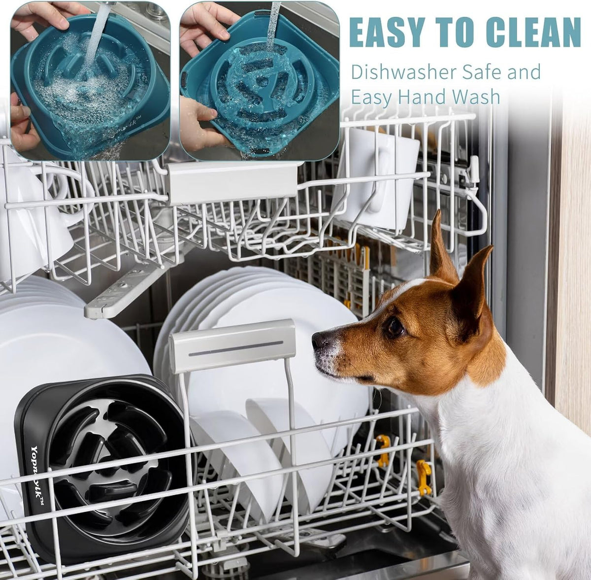 2 Pack Slow Feeder Dog Bowls for Medium Dogs & Cats