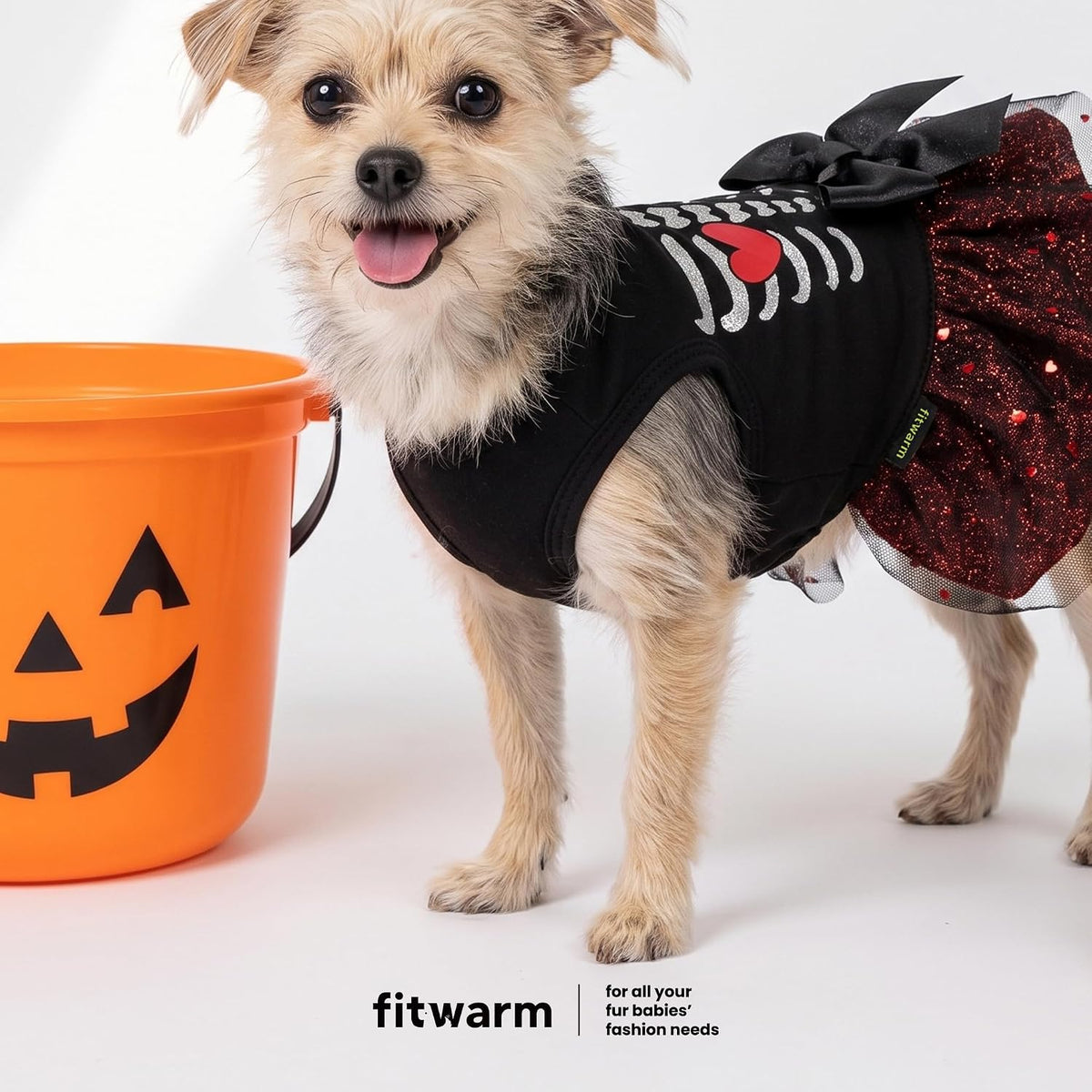 Fitwarm Halloween Skeleton Dog Dress, Funny Dog Halloween Costumes, Doggy Clothes for Small Dogs Girl, Pet Apparel, Blac
