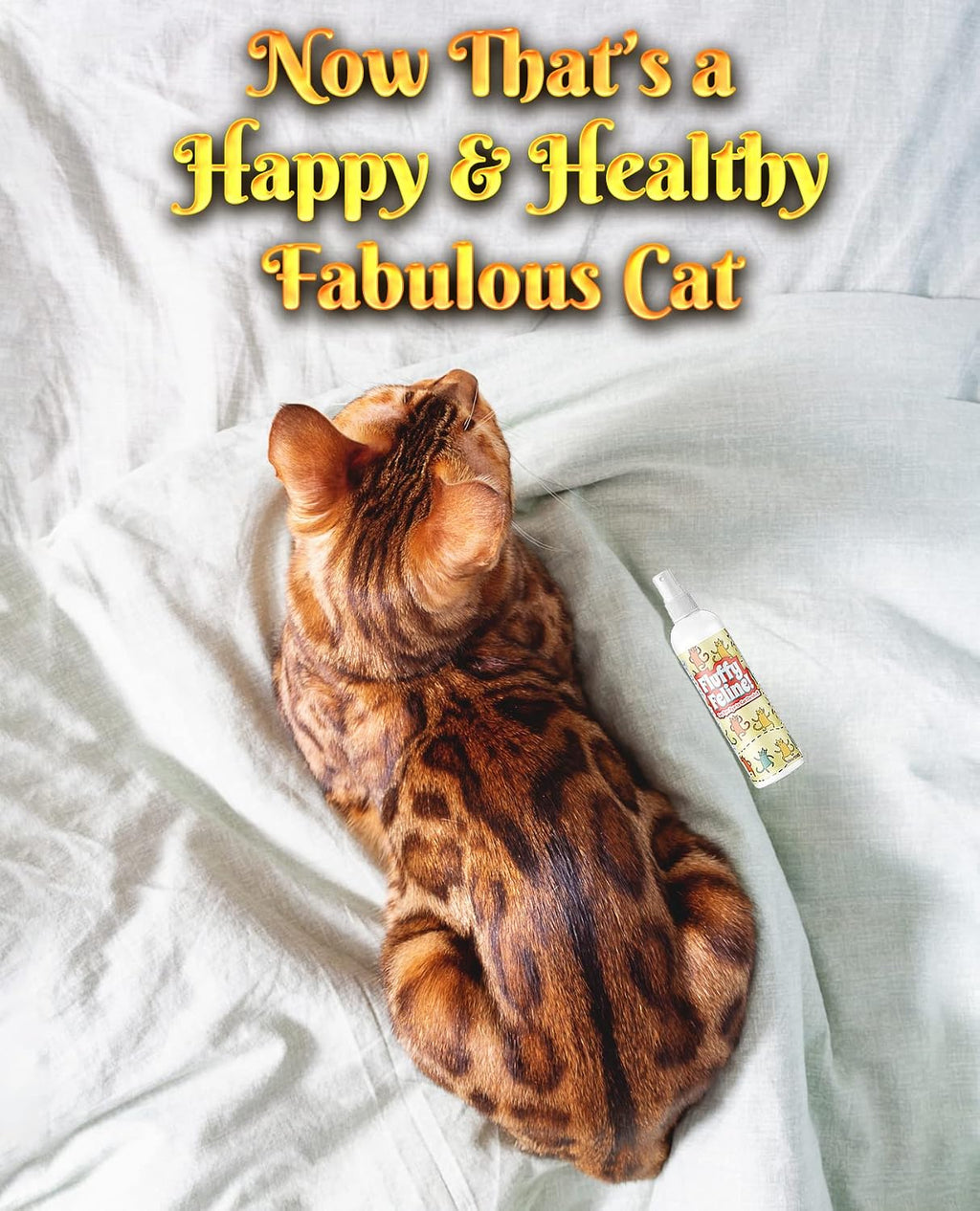 Fluffy Feline Professional Groomer's Choice Cat Dandruff Treatment Spray