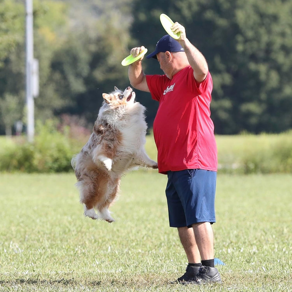 Hyperflite Pup Jawz Puncture Resistant Dog Flying Disc, Small Dogs