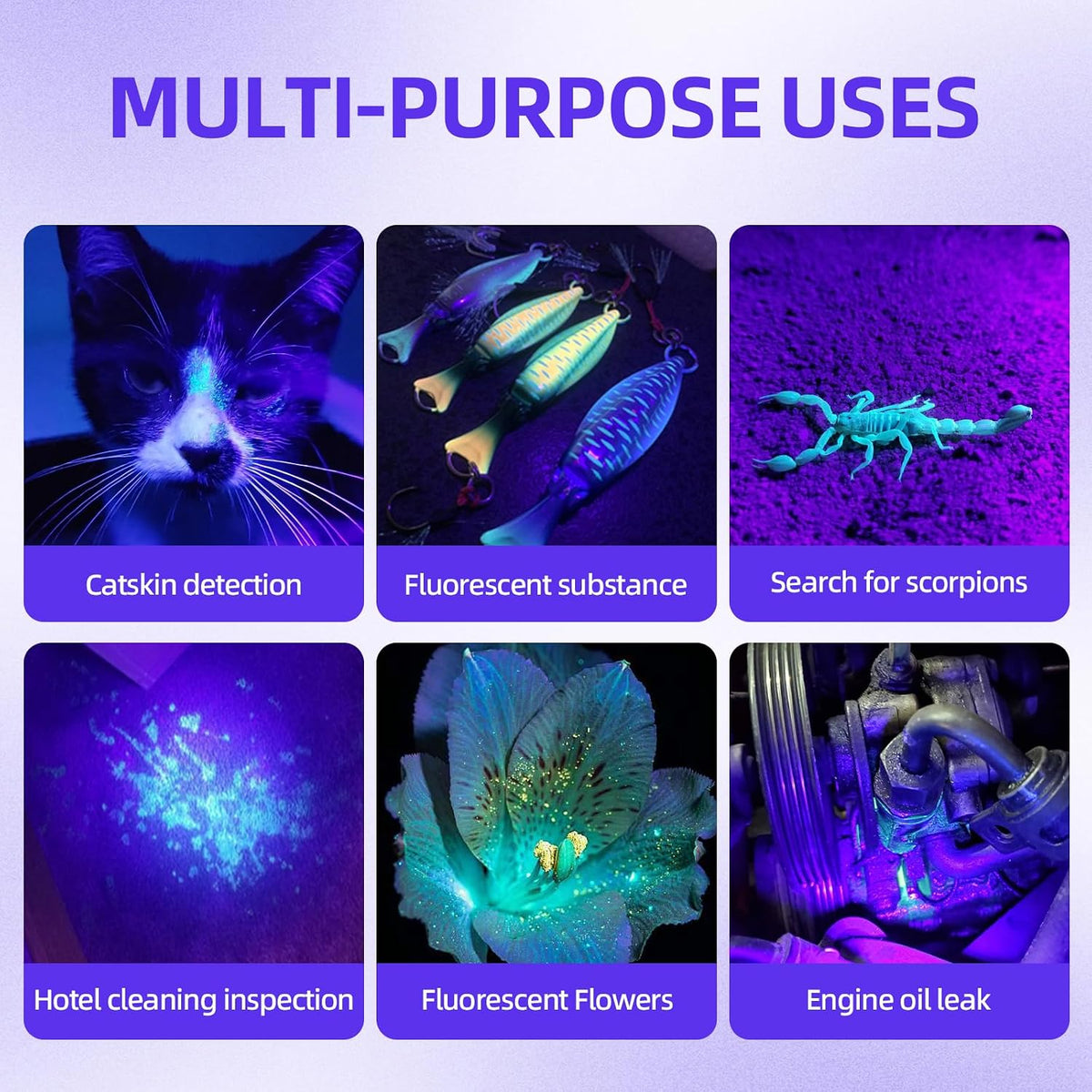 UV Flashlight Black Light–Small Portable Mini 12 LED Blacklight Flashlight for Hidden Stain Detection in Room, Resin Cur