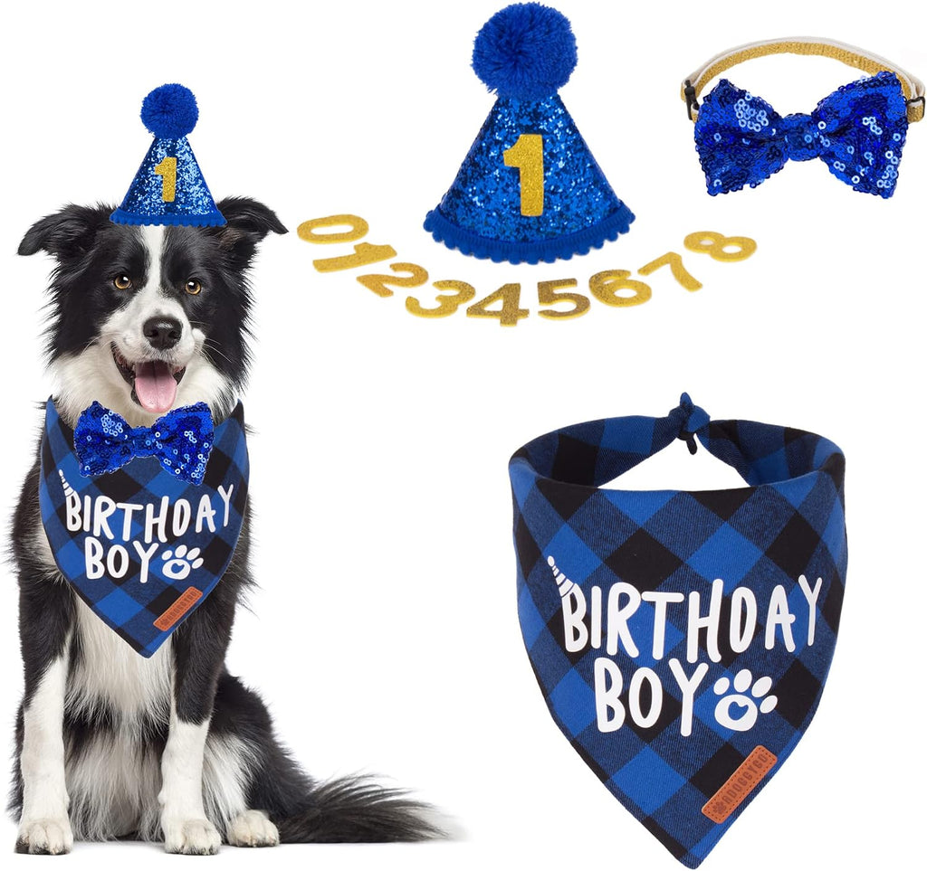 Dog Birthday Hat Bandana Set, Blue Plaid Boy Dog Bandana, X-Large