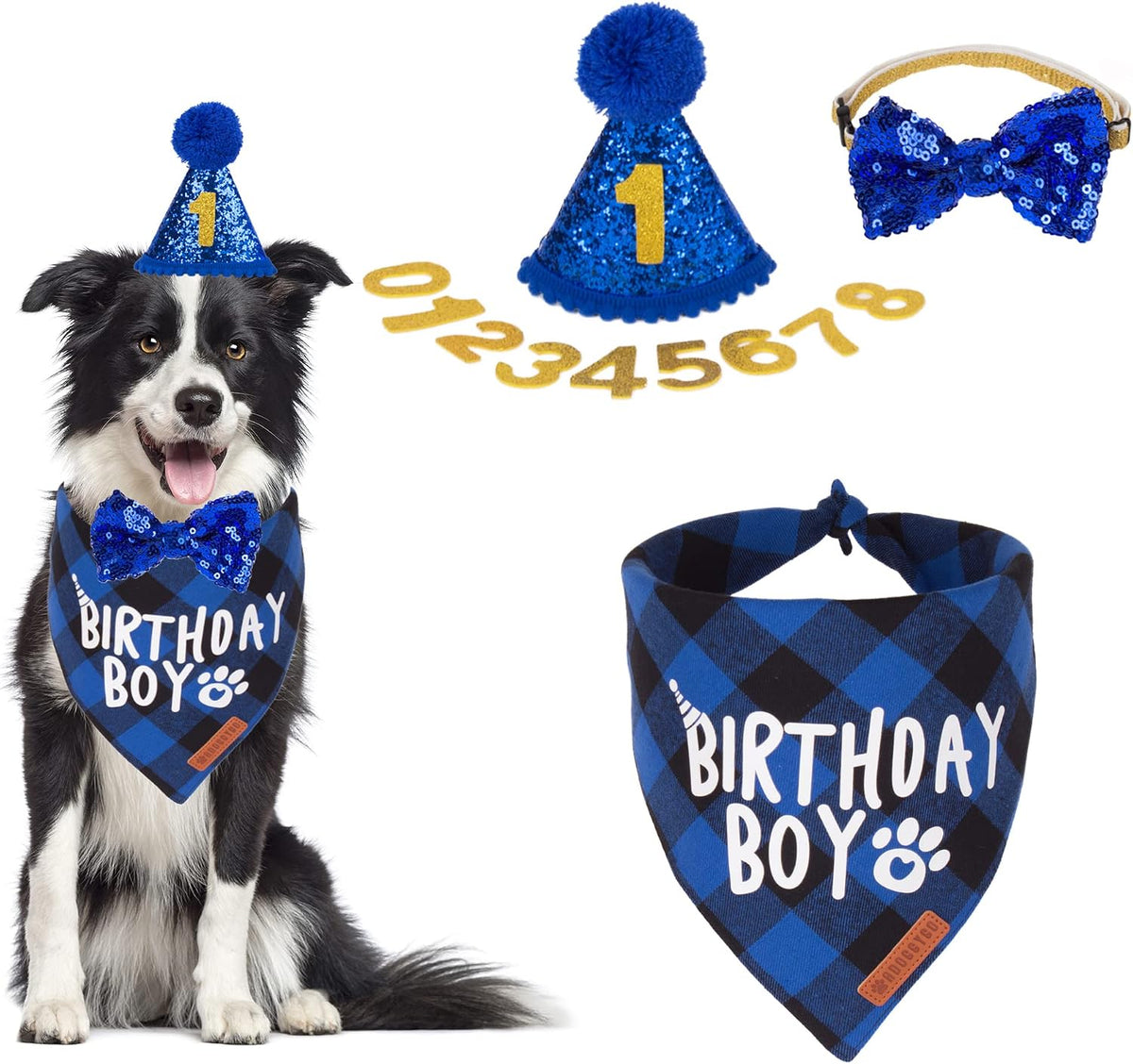 Dog Birthday Hat Bandana Set, Blue Plaid Boy Dog Bandana, X-Large