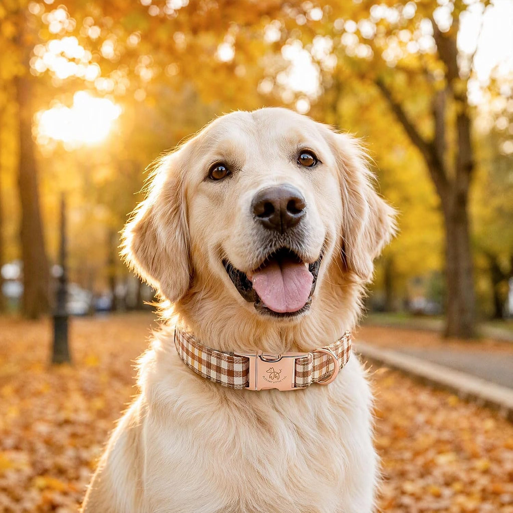 Fall Dog Collar, Autumn Pet Collar Durable Yellow Plaid Dog Collars Male or Female Holiday Pet Gift Adjustable Dog Colla