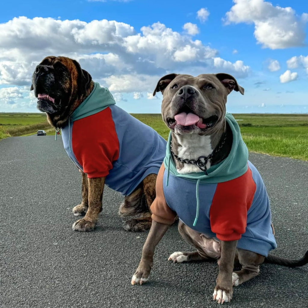 Spark Paws Dog Hoodie - Dog Sweater Sweatshirt Clothes for Large Dogs Puppy