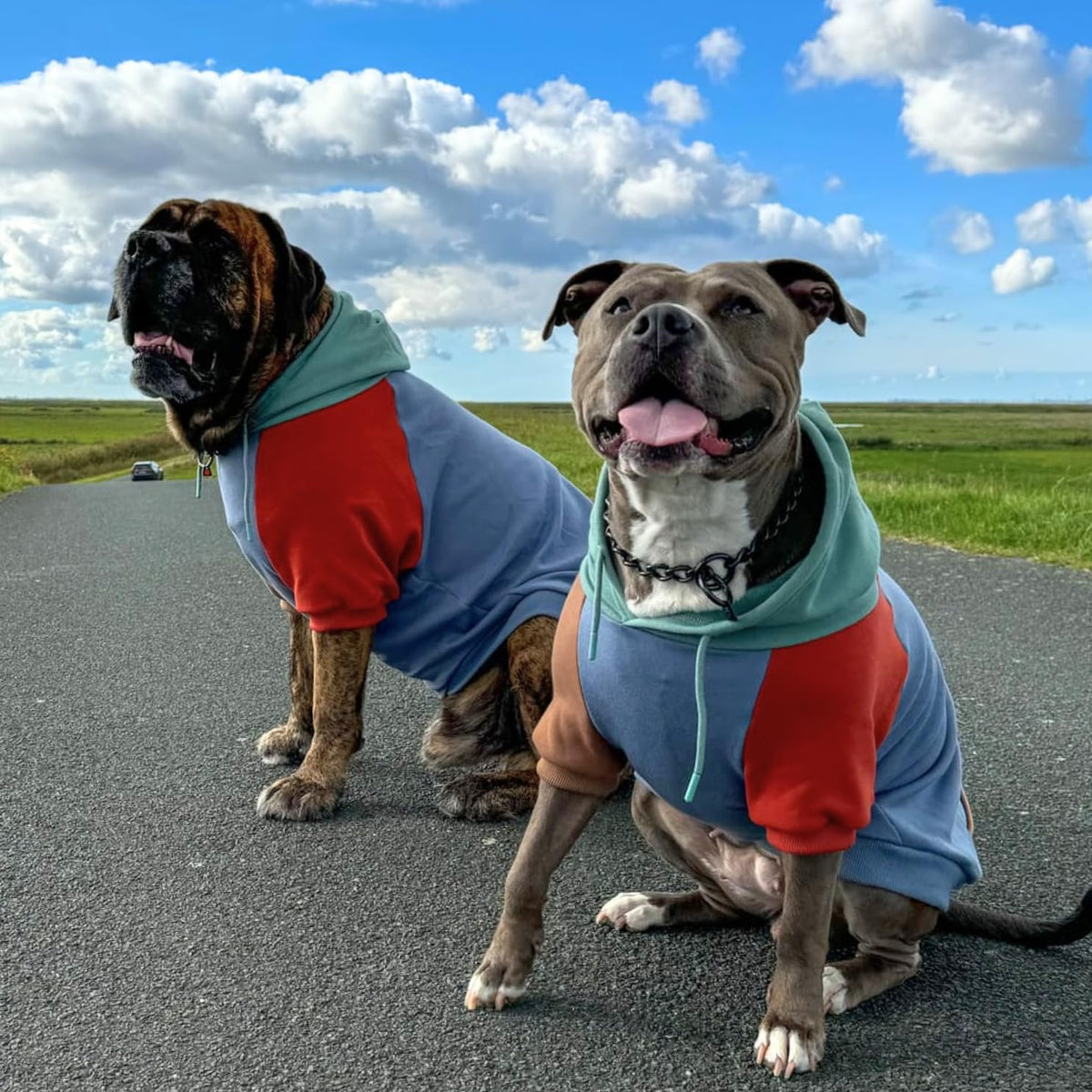 Spark Paws Dog Hoodie - Dog Sweater Sweatshirt Clothes for Large Dogs Puppy