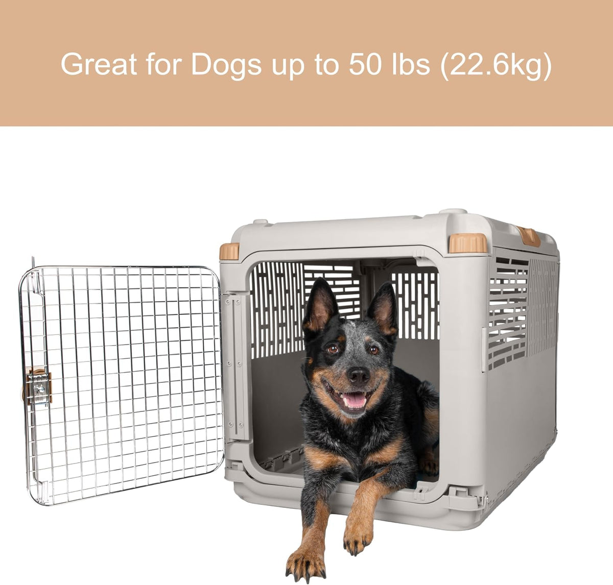 SportPet Designs Collapsible Medium Pet Travel Carrier (Tan), Hard-Sided Kennel for Medium Dogs, Puppies, Cats, Kittens,