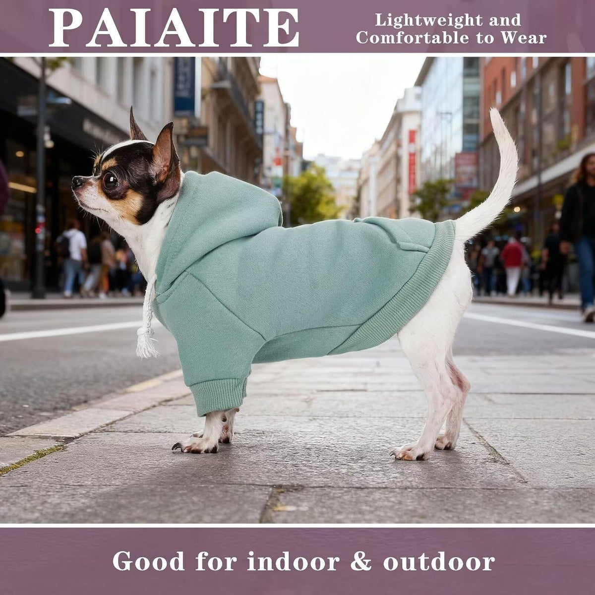 Small Dog Hoodie Sweater: Winter Sweatshirt Pet Coat with Pockets, Hat & Leash Hole for Puppy Doggie Chihuahua, Small-Me
