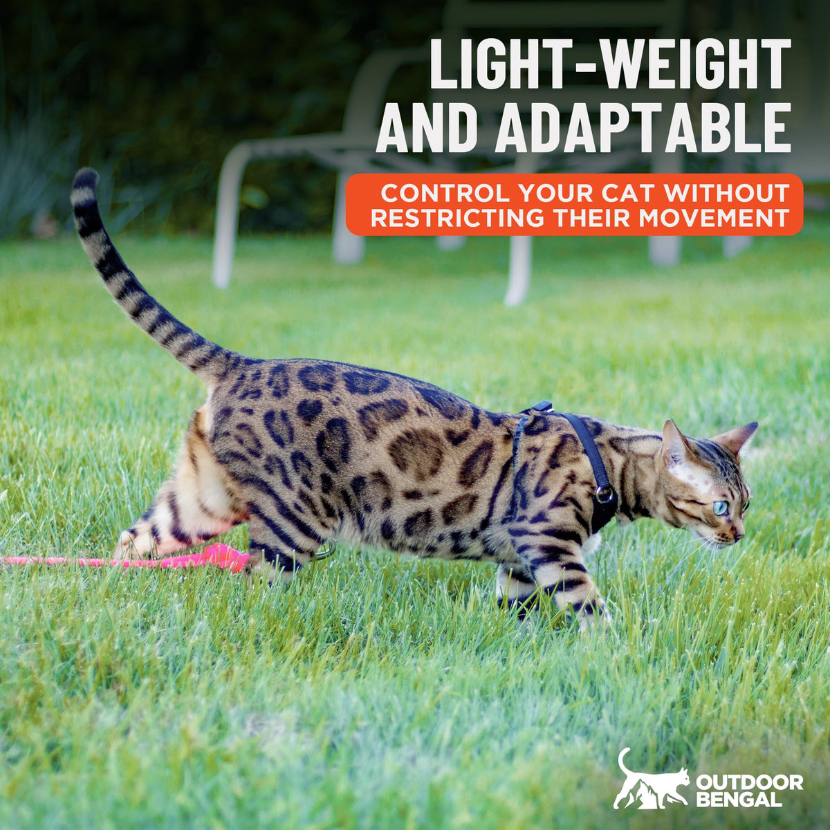 OutdoorBengal Houdini™ Escape Proof Cat Harness and Leash (Black, M/L)