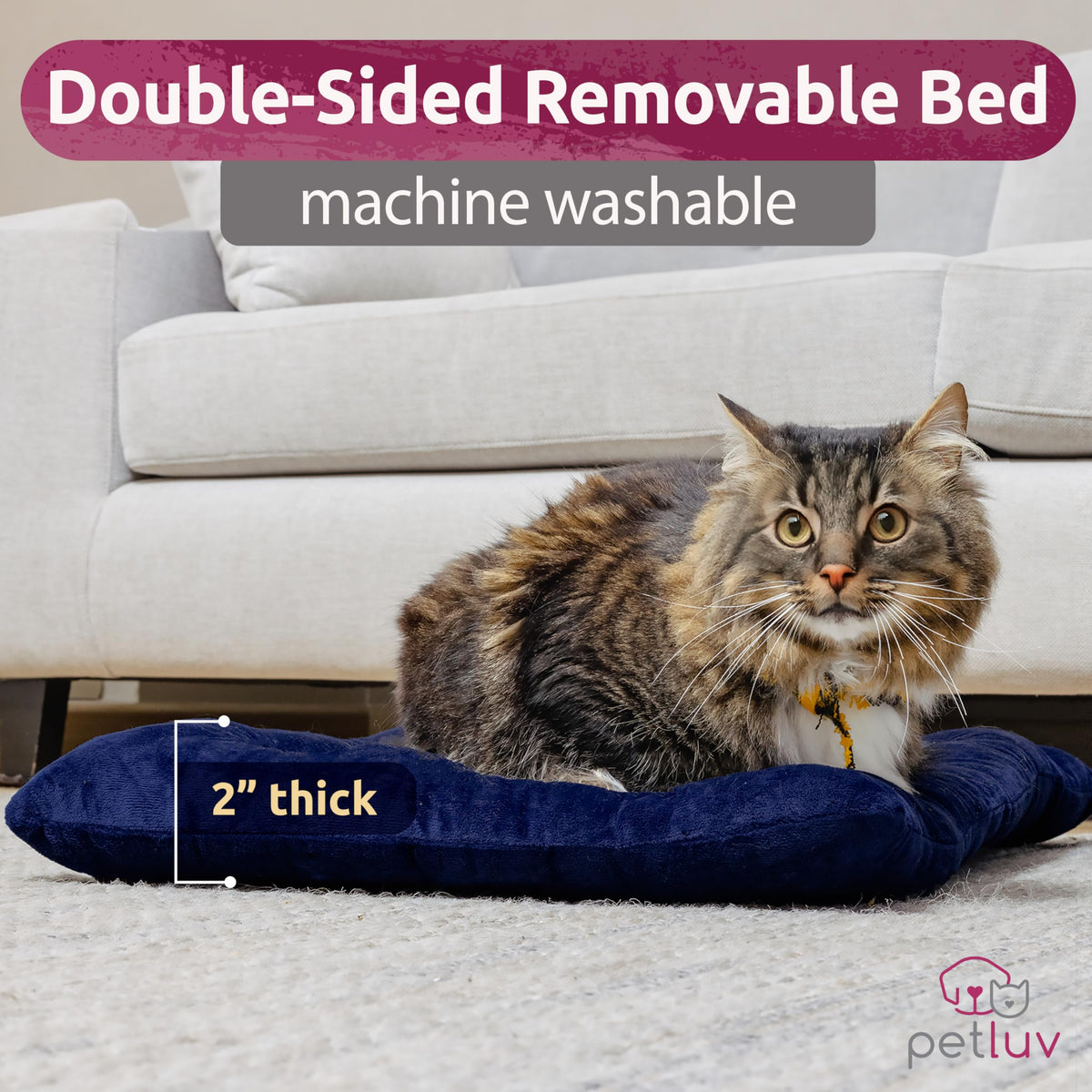 Cat & Dog Pet Carrier, Fits 2 Cats or Medium Dog Comfortably, Large, Navy