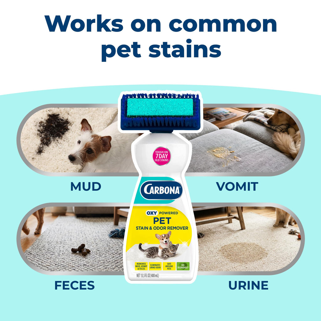 Carbona 2-in-1 Oxy-Powered Pet Stain & Odor Remover, 13.5 Fl Oz