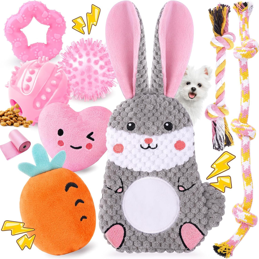 Zeaxuie 9 Pack Luxury Puppy Toys for Teething Small Dogs, Puppy Chew Toys with Cute Squeaky Dog Toys, Ball and More Rope