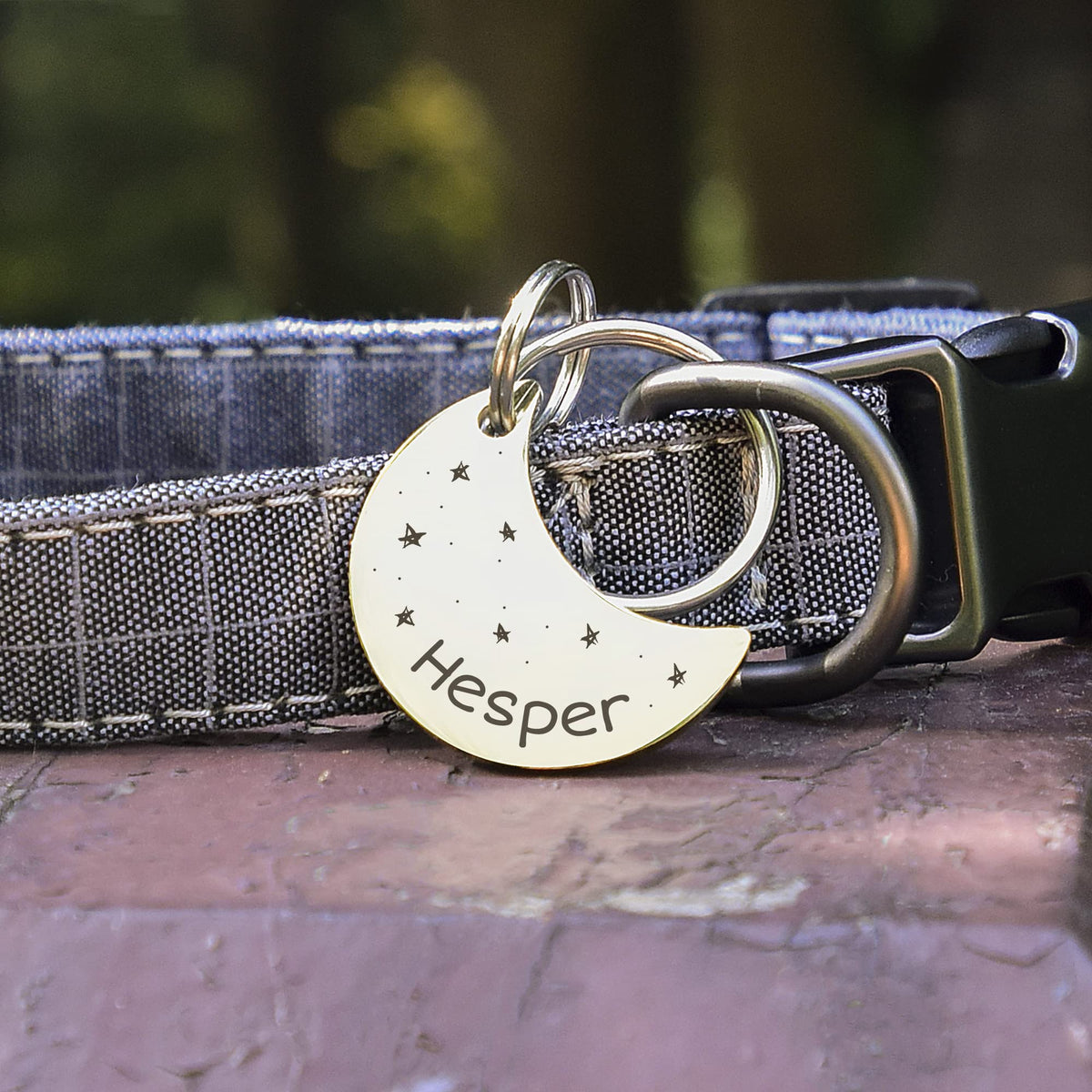 Anavia Small Size Dog Cat ID Tags, Small/XS Personalized Color Plated Stainless Steel Puppy Kitten Name Tags, Customized Engraved Nameplate Pet Collar Tag (Gold, Moon)