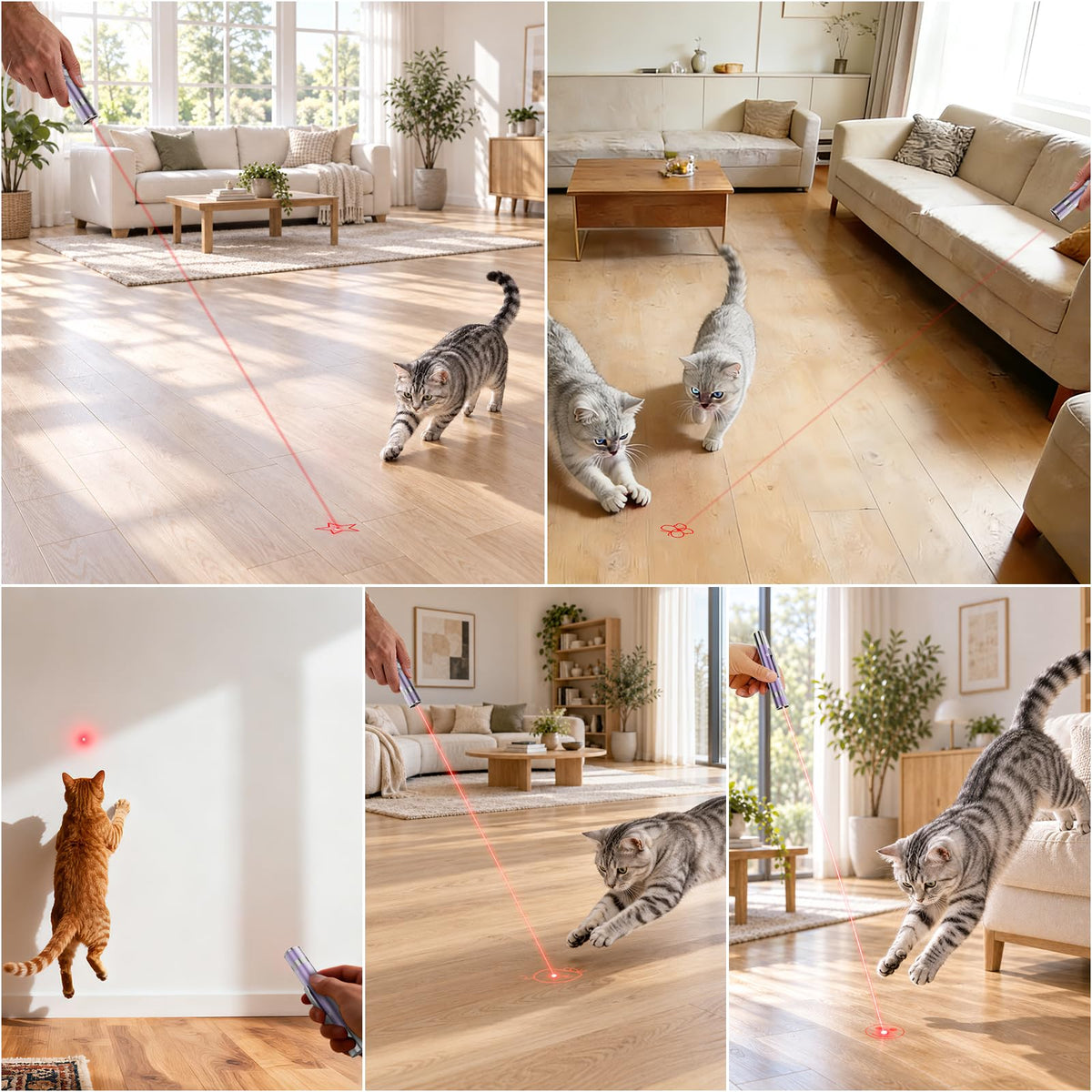 OUMSIS Cat Toys, Rechargeable, Interactive USB Chase Toy for Cats & Kittens