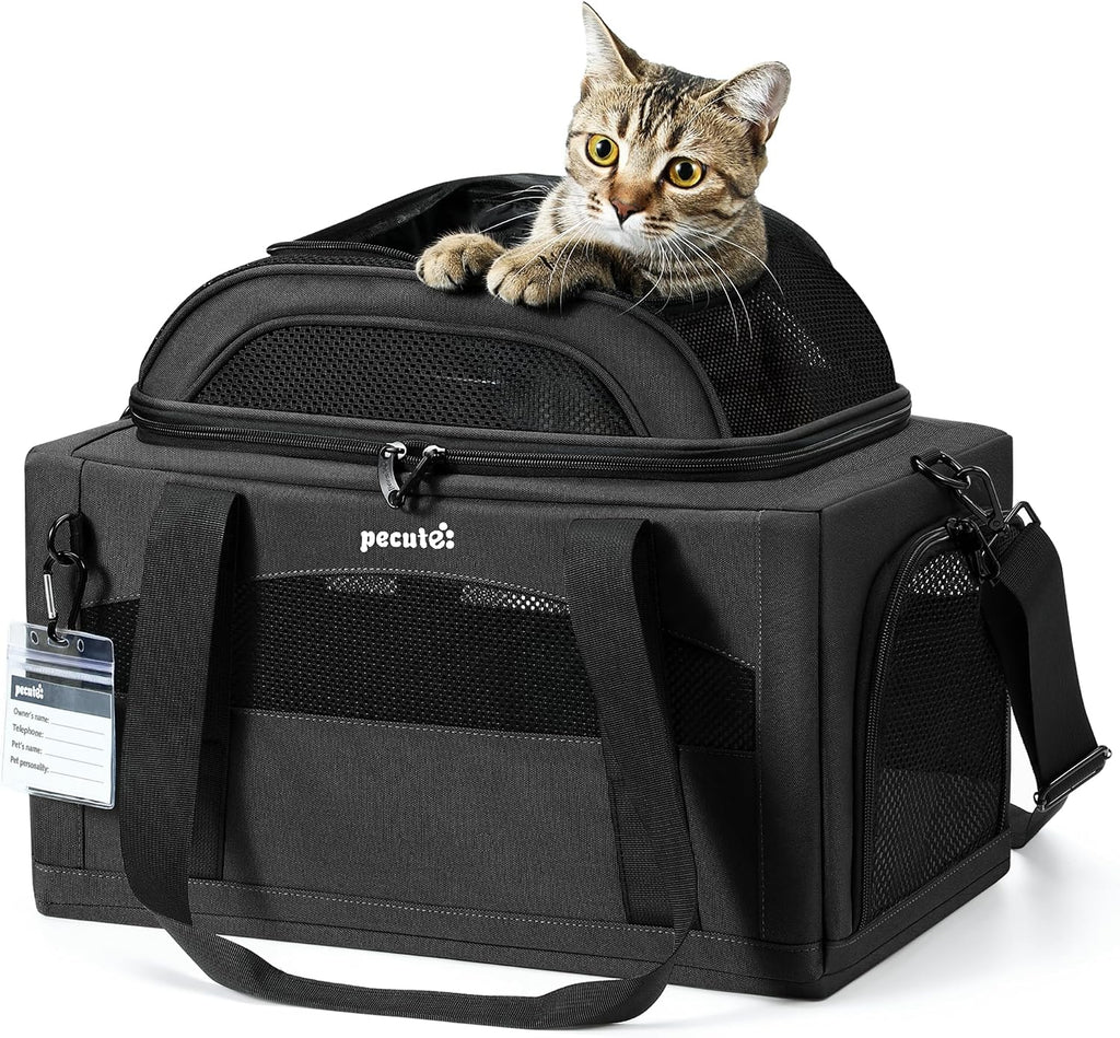 Pecute Top Expandable Airline Approved Pet Carrier for Cats, Dark Gray