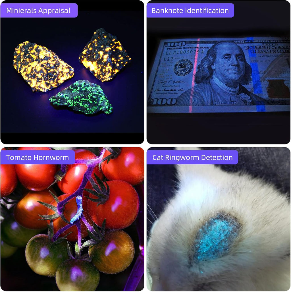DARKBEAM UV Flashlight 365nm & 395nm Black Light Woods Lamp Ringworm 2 Pack