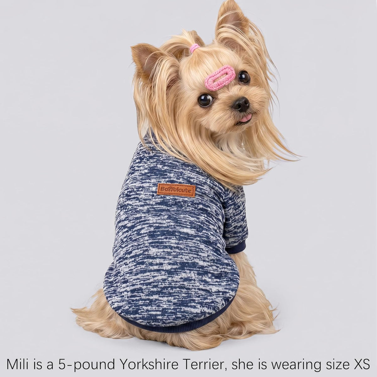 3 Pack Dog Sweaters for Small Dogs Girl Boy Winter Fleece Clothes Warm Soft Dog Sweatshirt Outfit for Dogs Cats Pet Appa