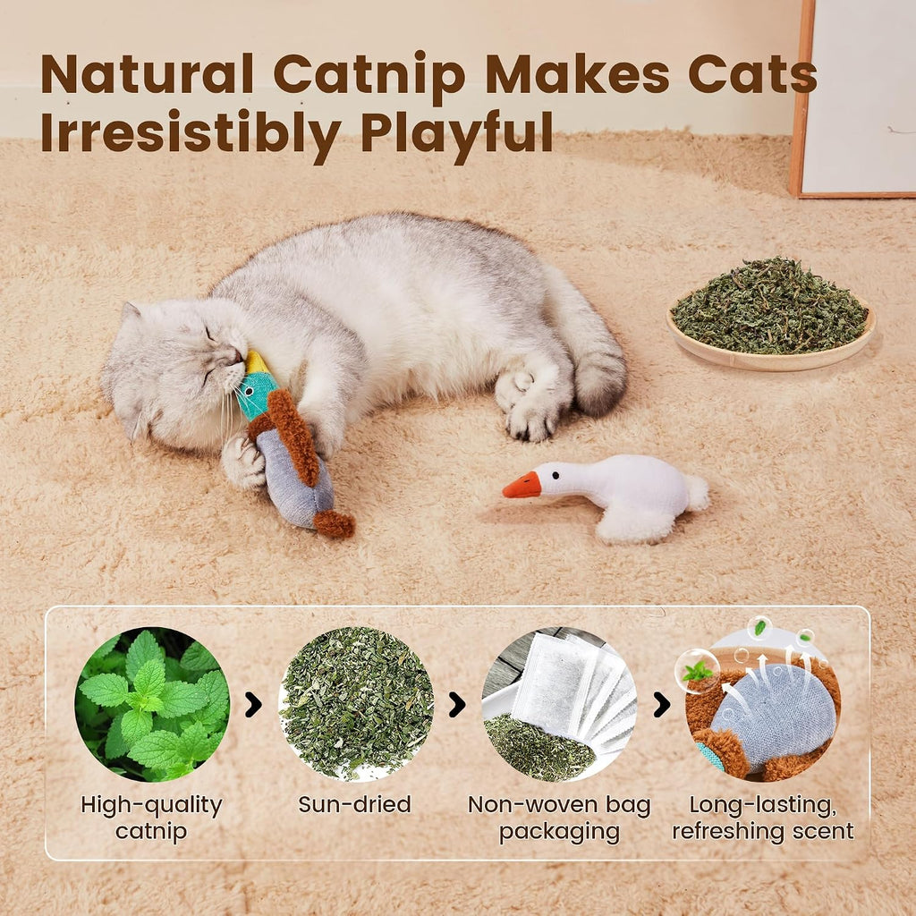 Potaroma Birds Cat Toys, 2 Pack Catnip Toys Soft Durable