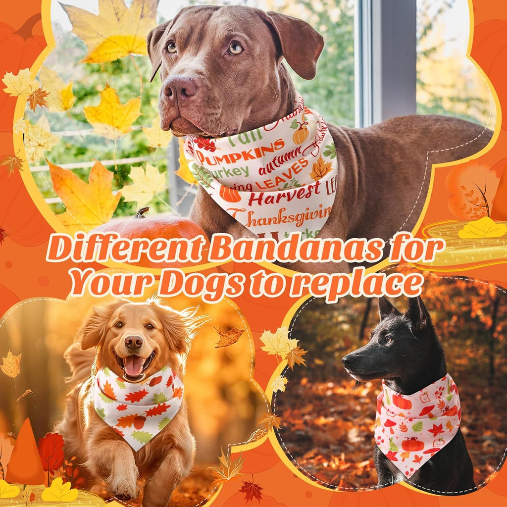 Abbylike 50 Pcs Fall Thanksgiving Dog Bandanas Bulk, Pumpkin, Large Dogs