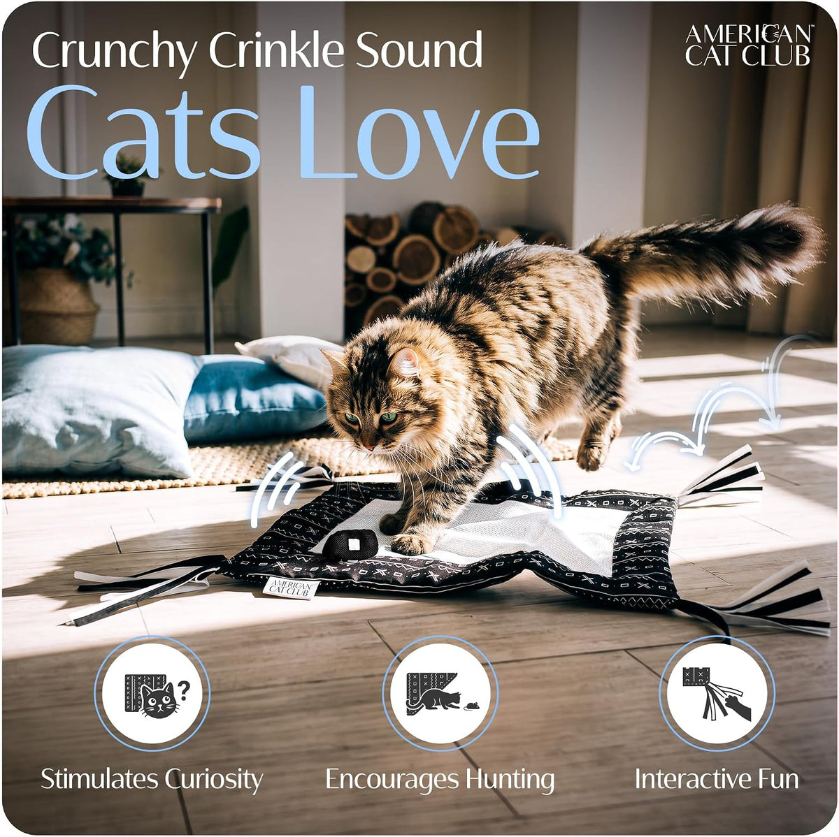 Reversible Crinkle Cat Mat with Mouse Toy, 18" x 13"