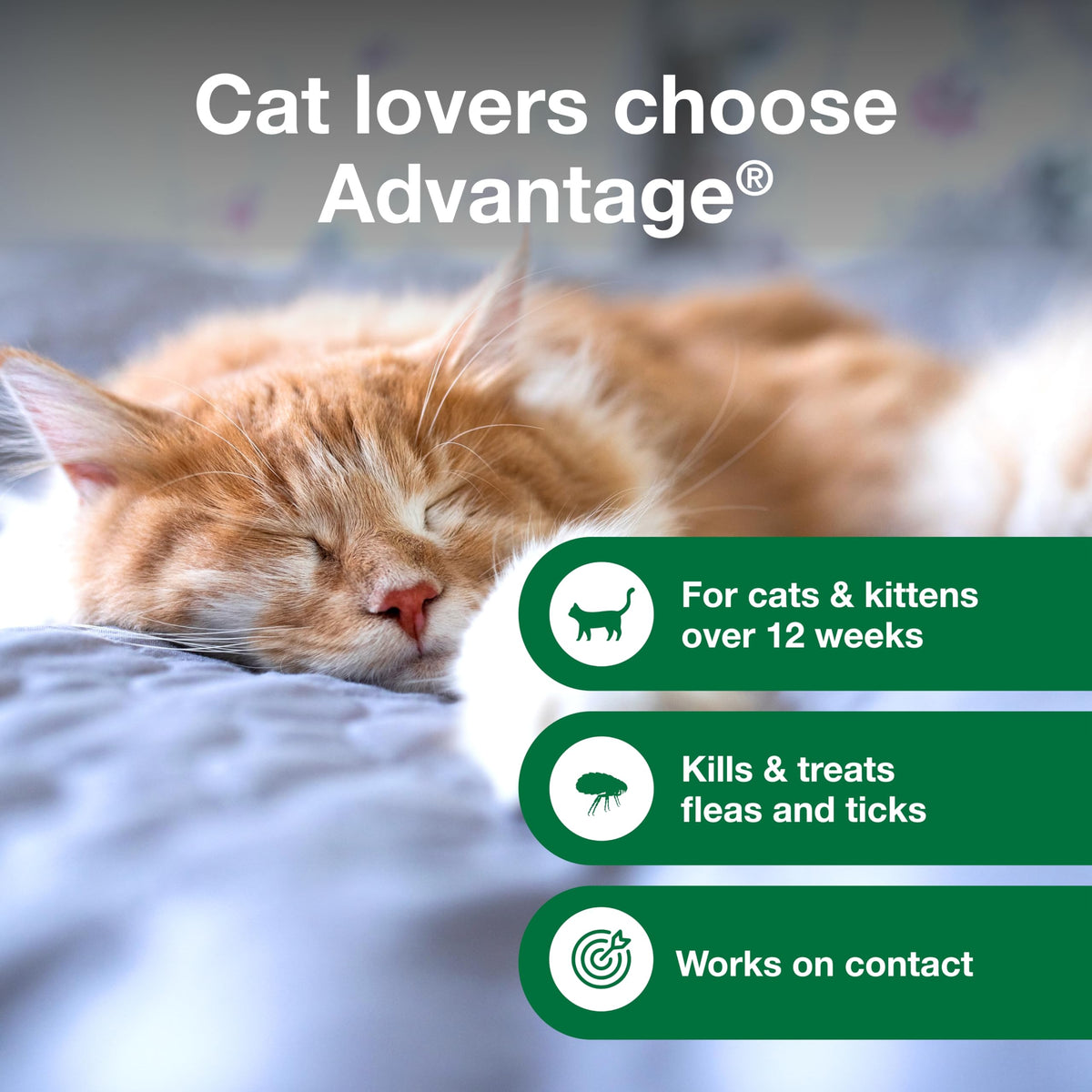 Advantage Treatment Shampoo for Cat and Kittens, Kills Fleas & Ticks, 8 oz.