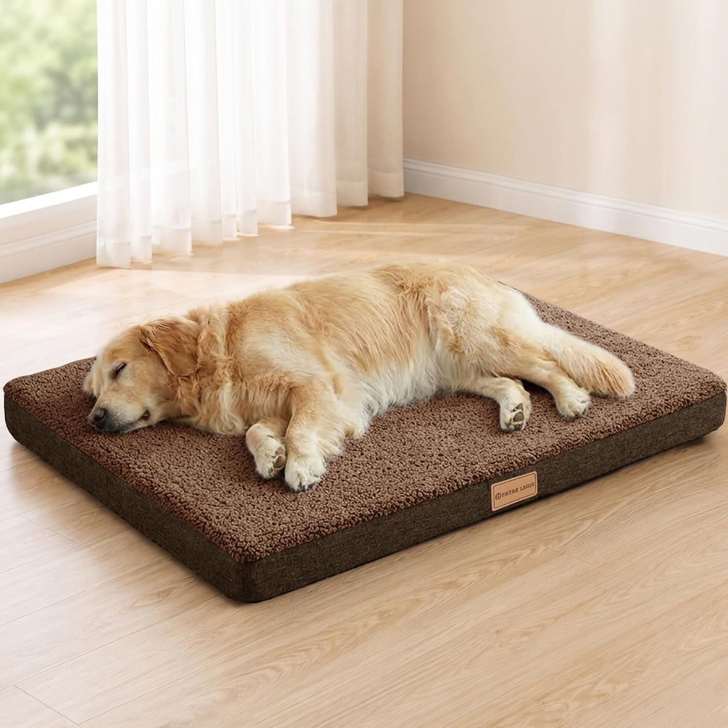 Patas Lague Orthopedic Large Dog Bed Washable Pet Sofa Mat 36''X24'' Black