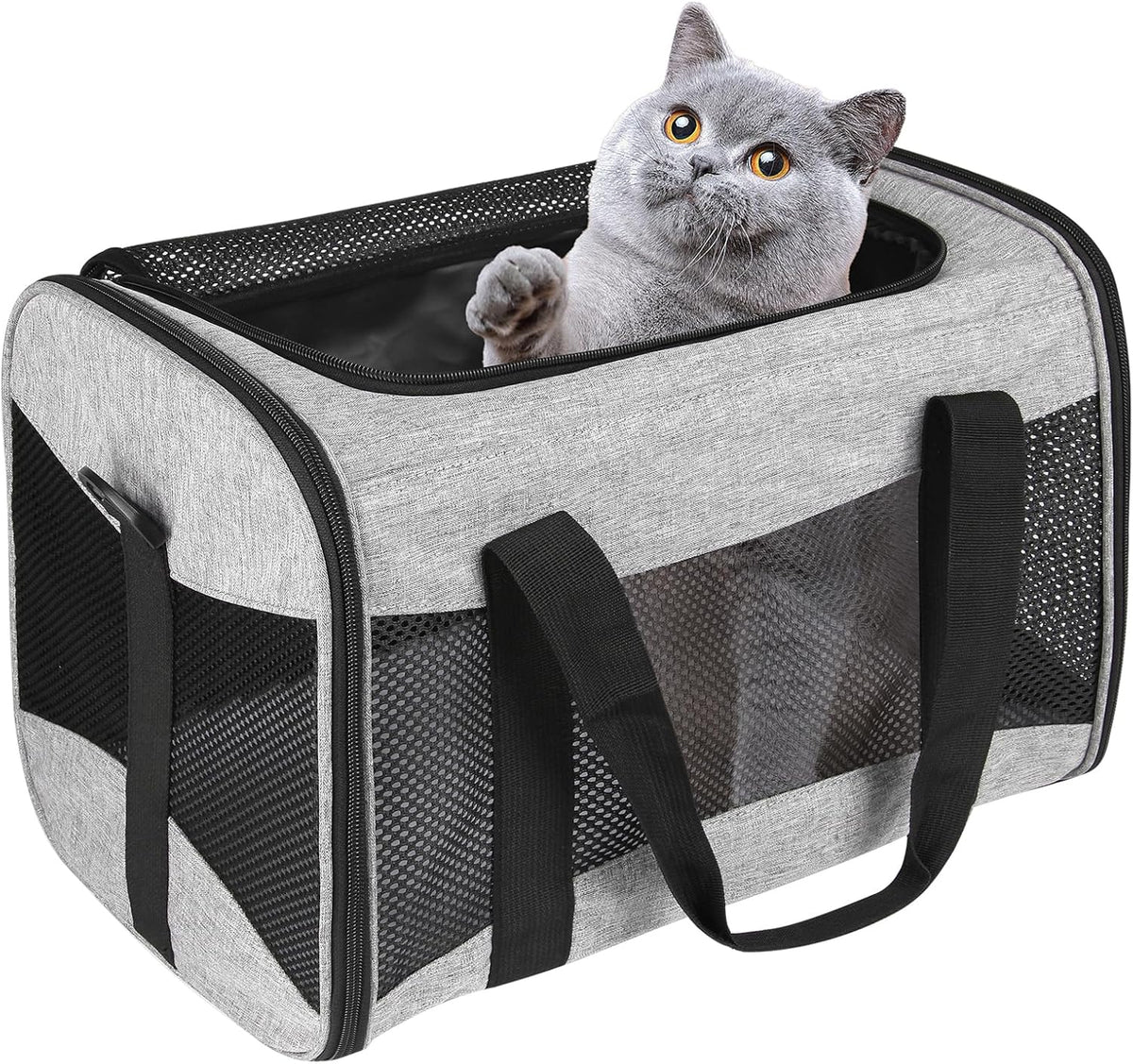 top tasta cat Carrier Large Dog Cat Carriers Puppies up to 30Lbs, Big Dog Carrier Soft Sided, Collapsible Travel Puppy C