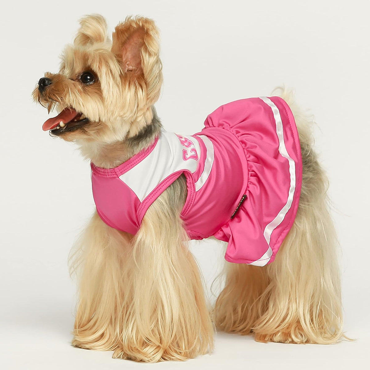 Fitwarm Cheerleader Dog Costume, Sporty Cheer Dog Dress for Small Dogs Girl, Pet Clothes Cat Outfits, Pink White, Small