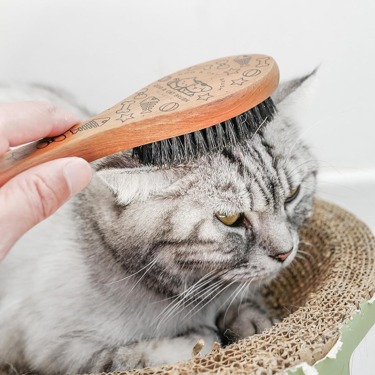 Soft Cat and Dog Grooming Brush for Small & Large Pets