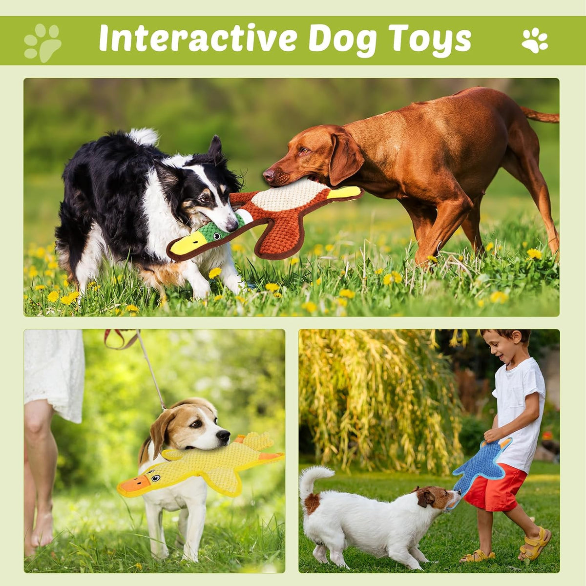 Dog Toys 3-Pack Cute Duck Shapes Puppy Toys No-Stuffing Squeaky and Crinkle Interactive Dog Chew Toy for Small to Large 