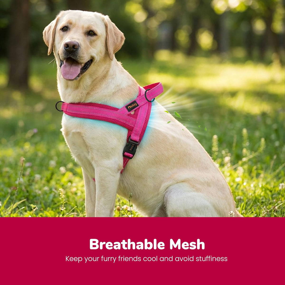 No Pull Dog Harness for Large Dogs, Breathable Mesh Padded,Hot Pink,L