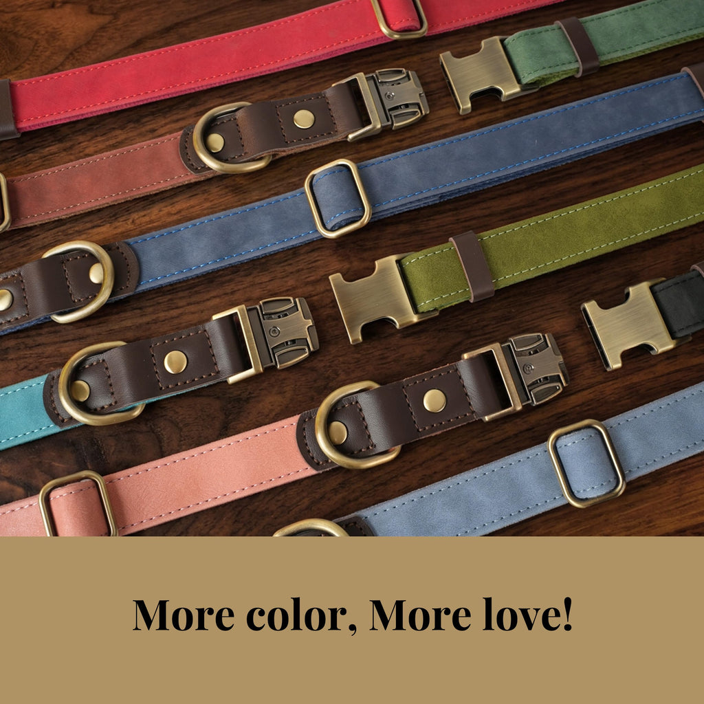 Didog PU Leather Dog Collar for Small Dogs Puppy, Soft Lining, Green S