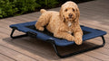 Pet Gear Lifestyle Pet Cot Elevated Bed, 30 Inch, Slate Blue