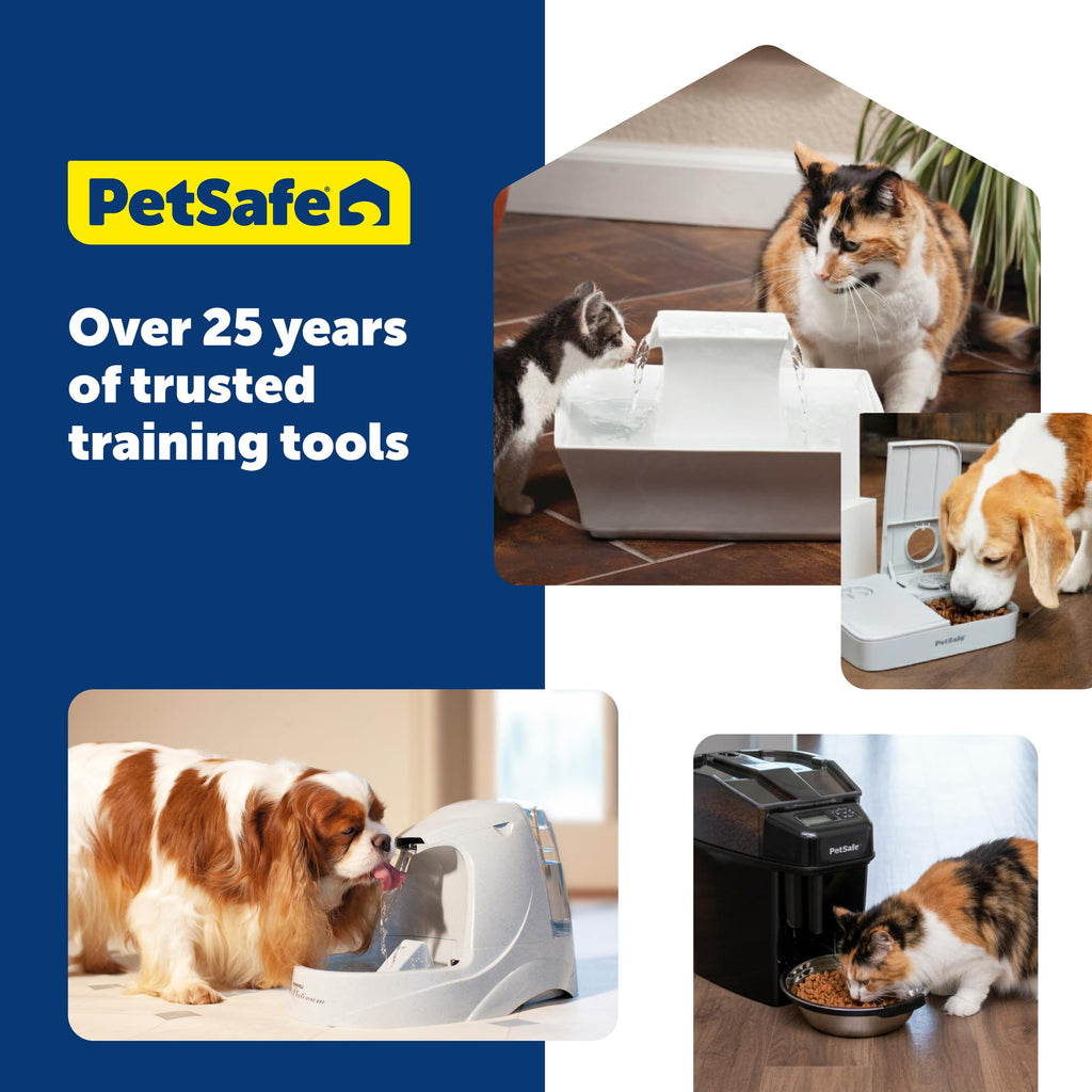 PetSafe Drinkwell Replacement Foam Filters, 2 Pack, Ceramic/Steel Fountains