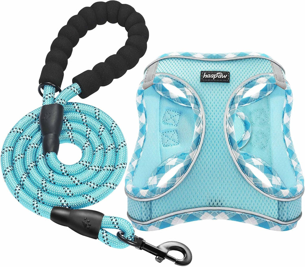 haapaw Dog Harness with Leash Set, No Pull Adjustable Reflective Step-in Puppy Harness with Thickened Padded Vest for Ex
