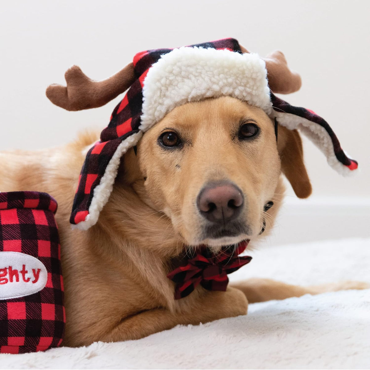 Huxley & Kent SnugFit Pet Hat for Dogs & Cats, Antler Buffalo Check, Large
