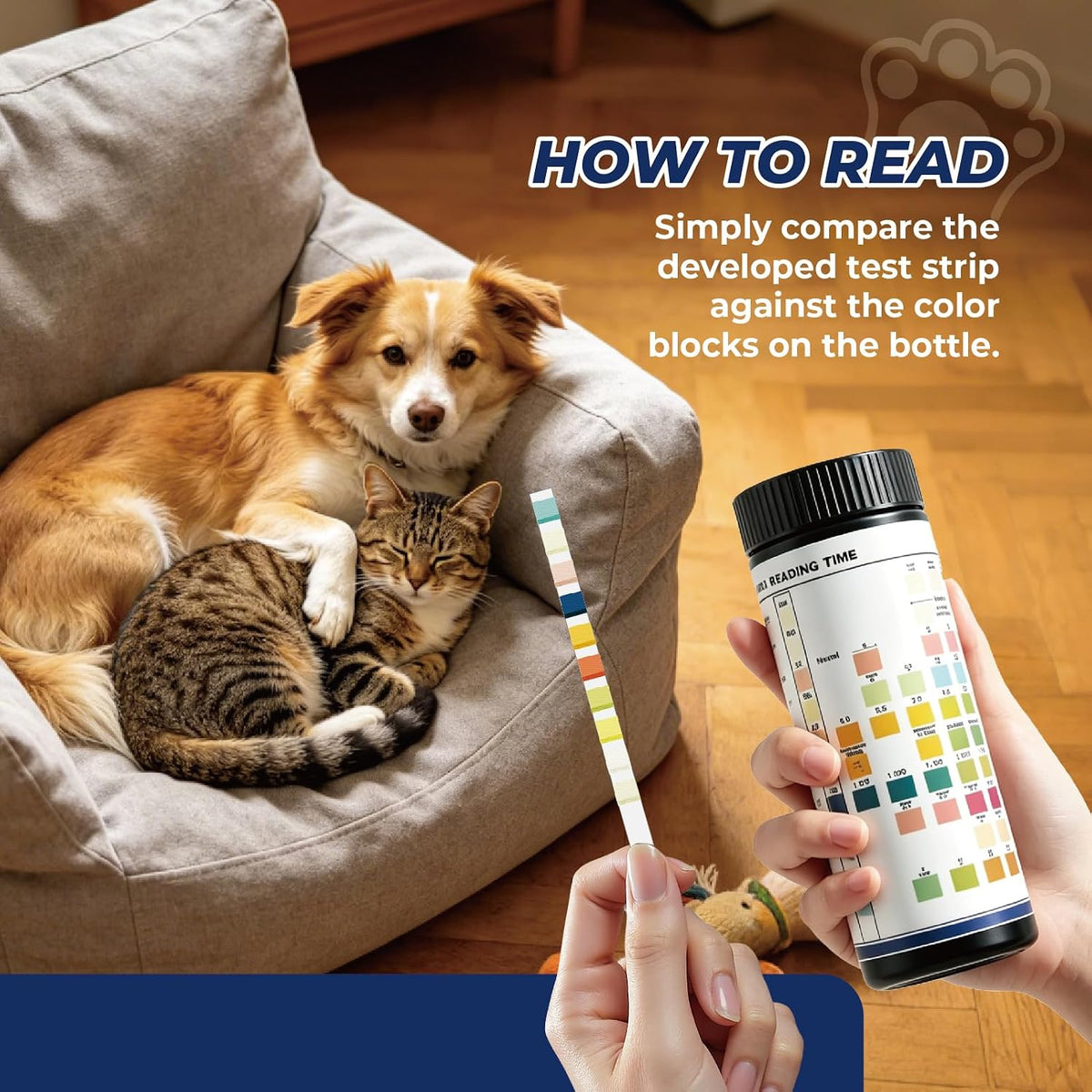 10 Parameter Urinalysis Test Strips for Dog, Pet UTI Test Strips 100ct, Diabetes, Blood, Ketone, UTI, Glucose, Nitrite, 