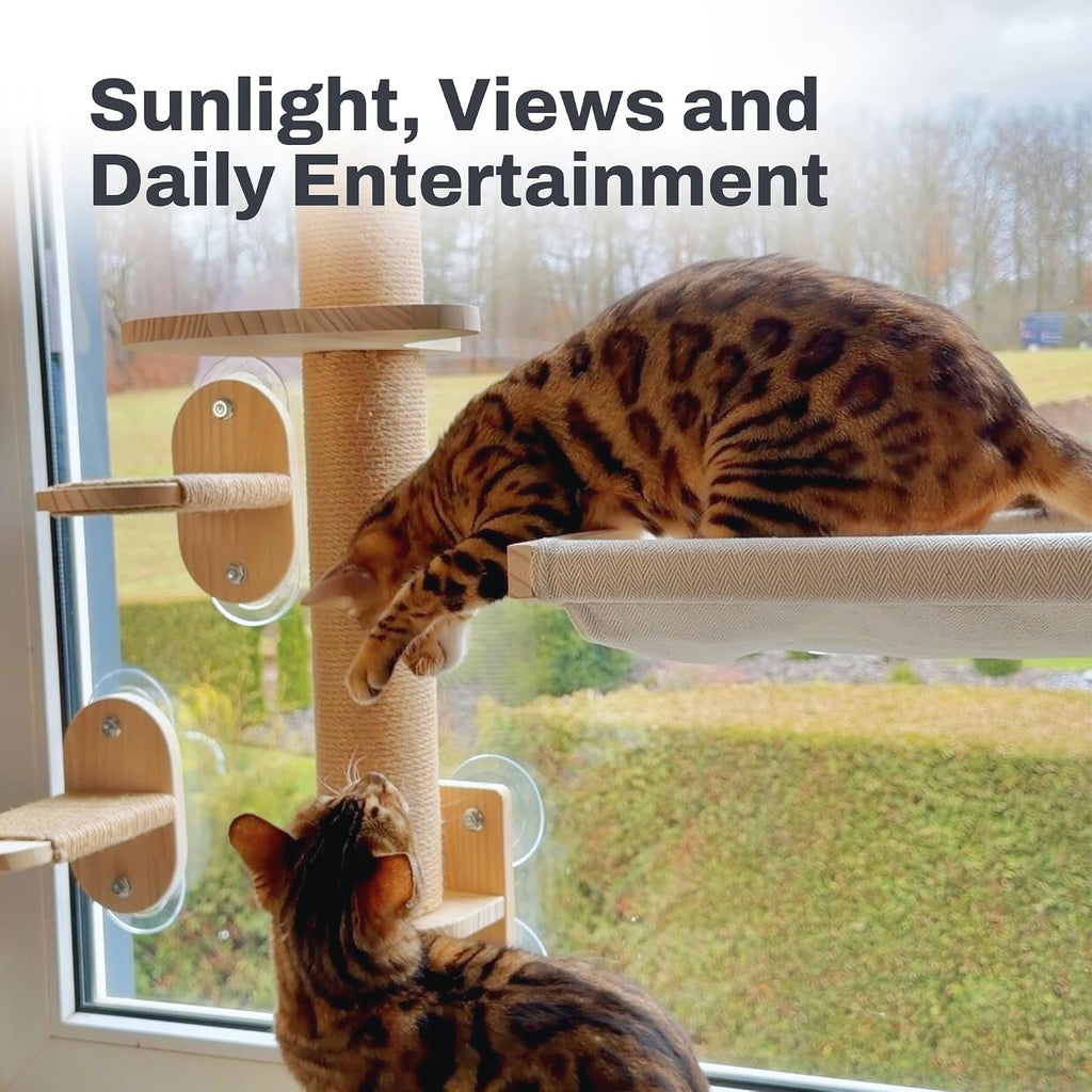 Cat Window Shelf | 4-in-1 Cat Wall Shelves & Scratcher