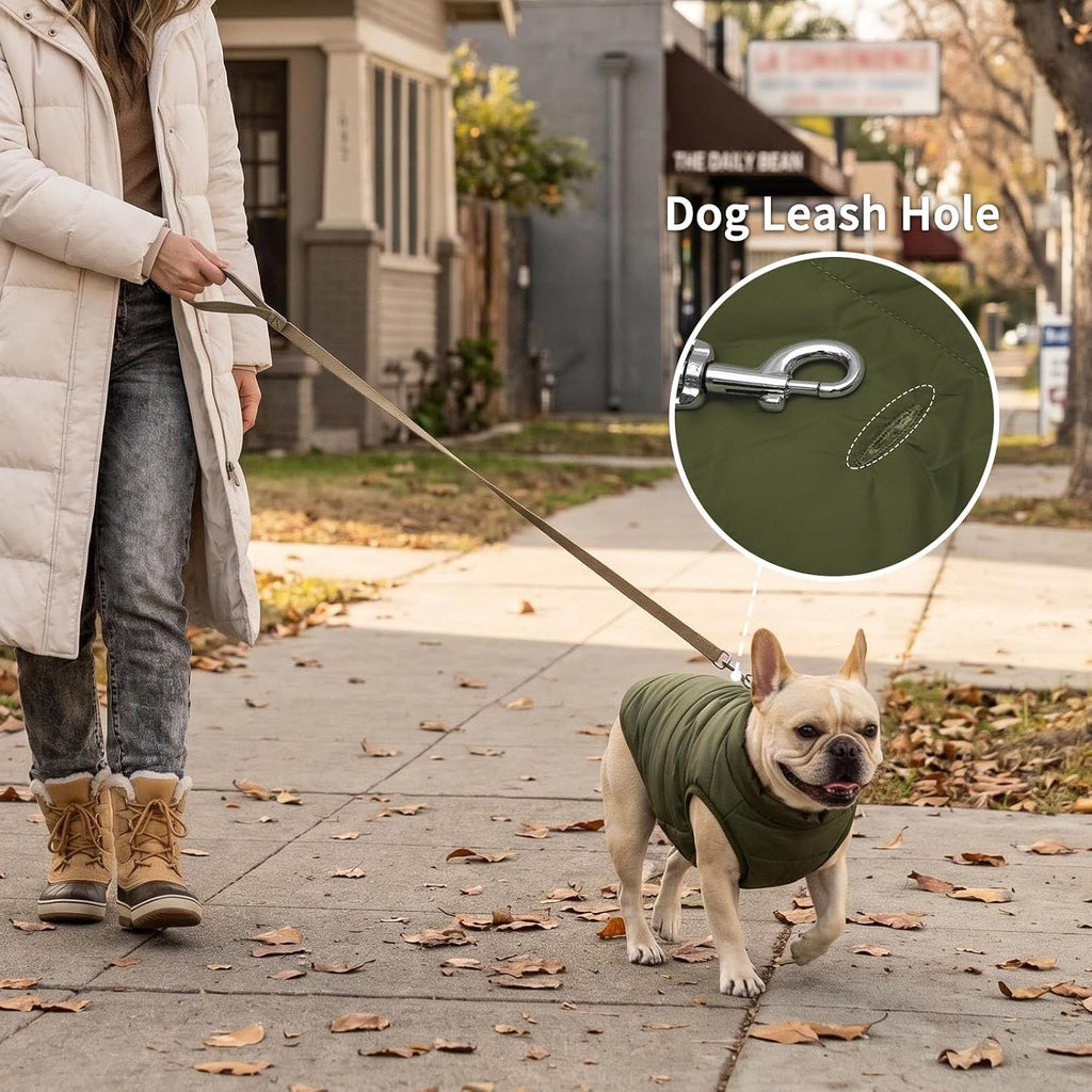 Fleece Lined Dog Jacket for Small Dogs,Winter Dog Coat,Green S
