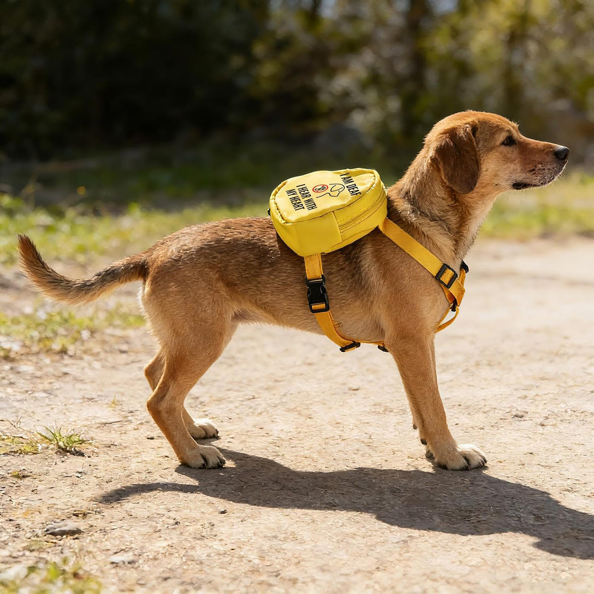 Pet Dog Cat Dog Backpack I Am Deaf I Hear with My Heart Dog Travel Bag Scarf Special Needs Dog (Hear with My Heart)
