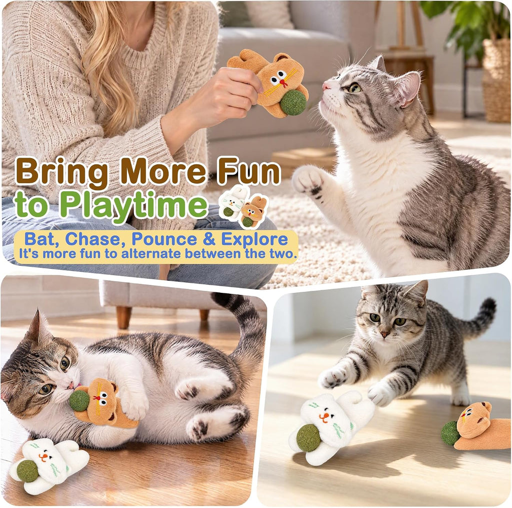 2PCS Catnip Plush Cat Toy, Cute Kitten, Cat Toys for Kittens & Indoor Cats