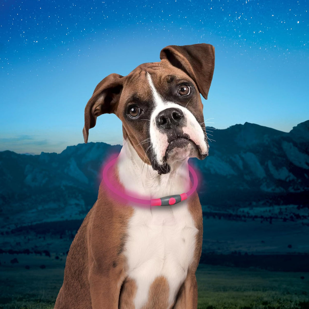 Nite Ize NiteHowl Rechargeable LED Safety Necklace - Dog Light for Dog-Walking Gear - Weather-Resistant Design - 5 Hours