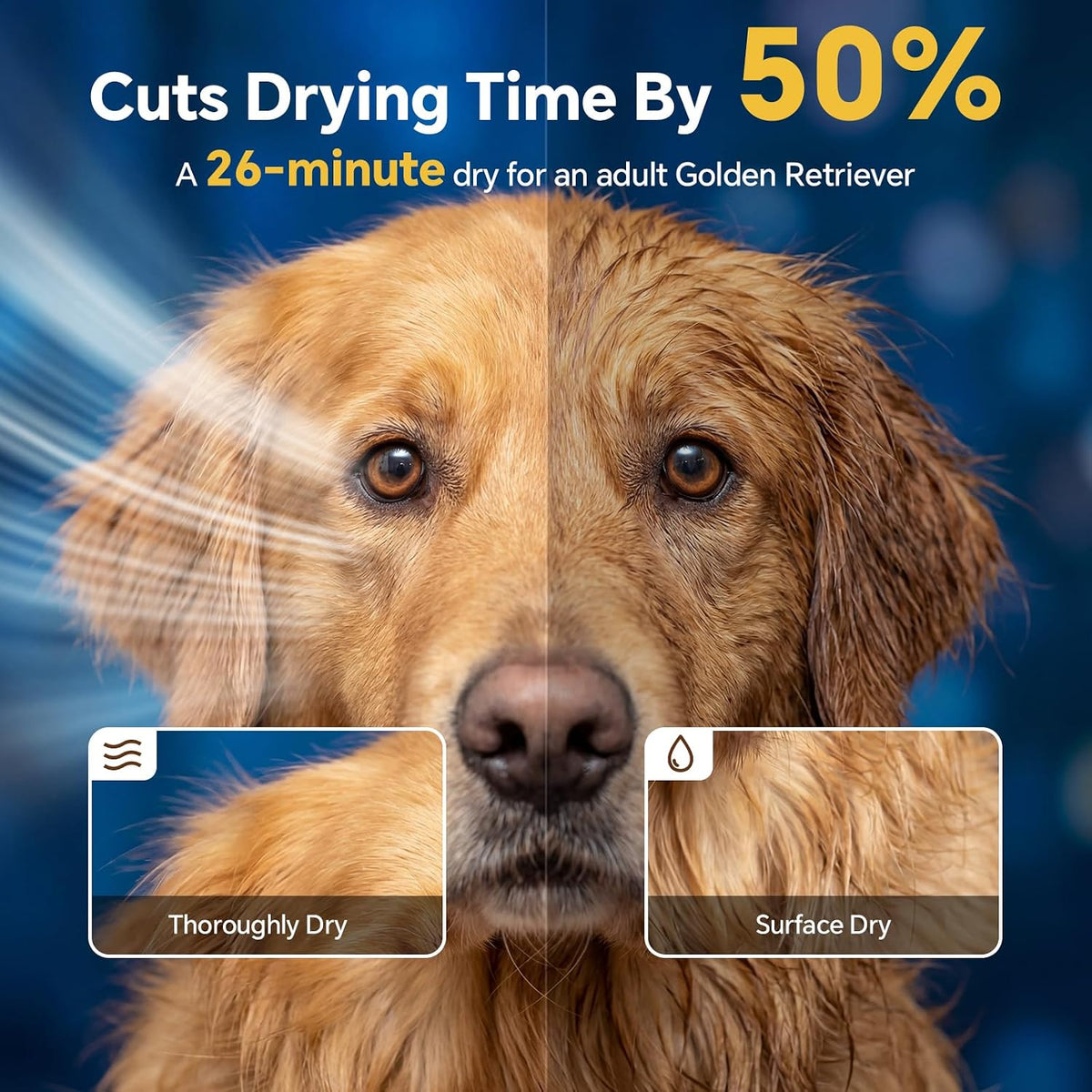 Dog Dryer High Velocity Dog Hair Dryer 5.2HP/3800W, Stepless Adjustable Speed Temperature Dogs Grooming Blow Dryer, Pet 