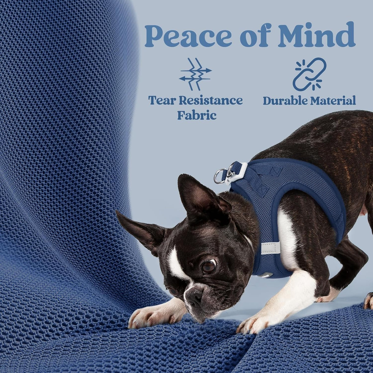 rabbitgoo Step-in Small Dog Harness, Puppy Vest for Small Sized Pet