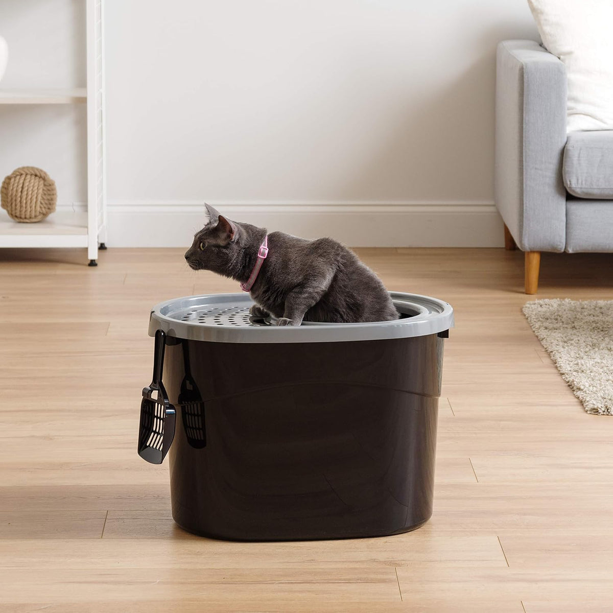 IRIS USA Top Entry Cat Litter Box, Hooded Privacy, Large, Black/Gray
