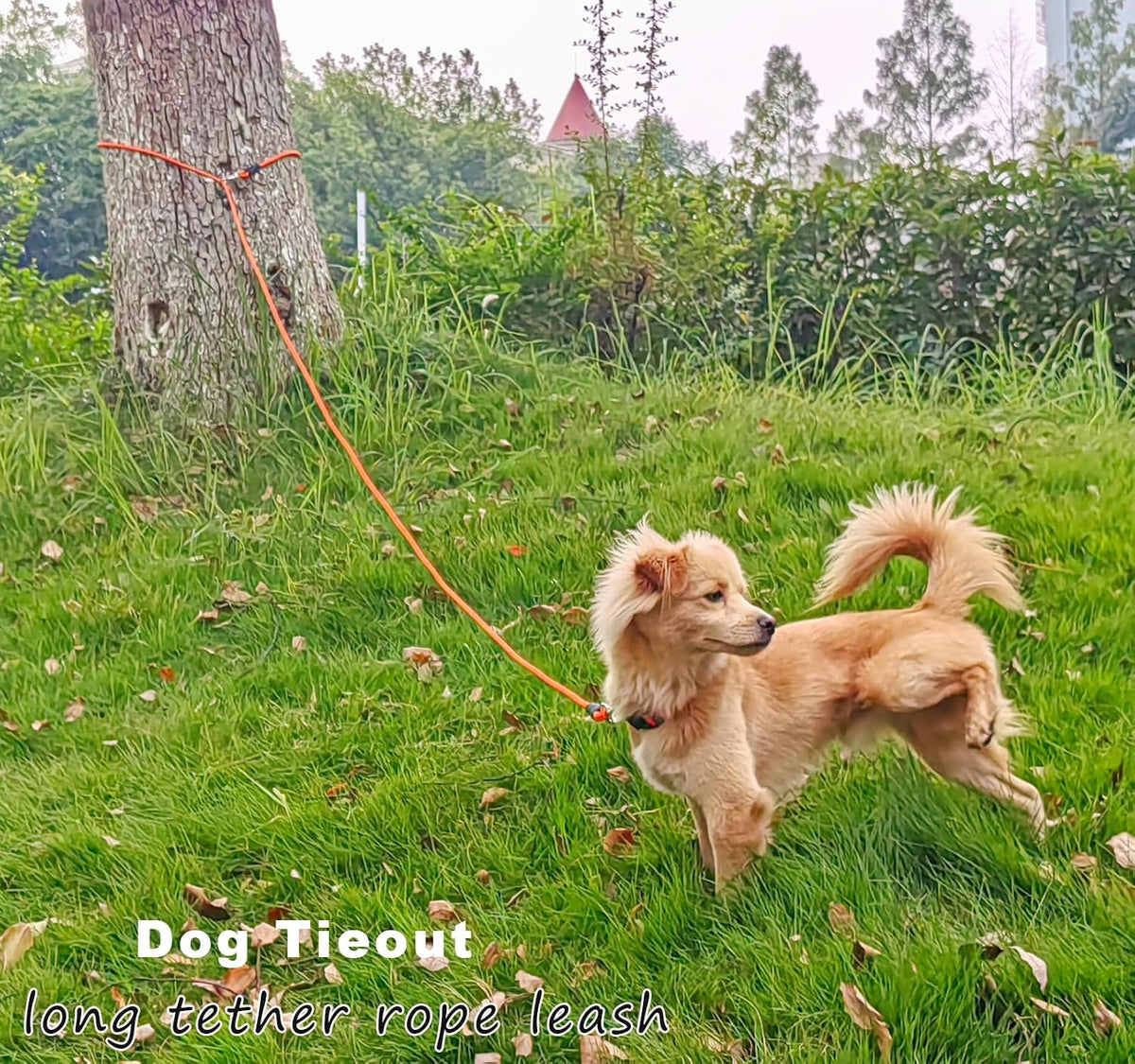 25FT Dog Tie Out Leash Long Tether 8-10-13-15-20-30-35-40-50-65FT