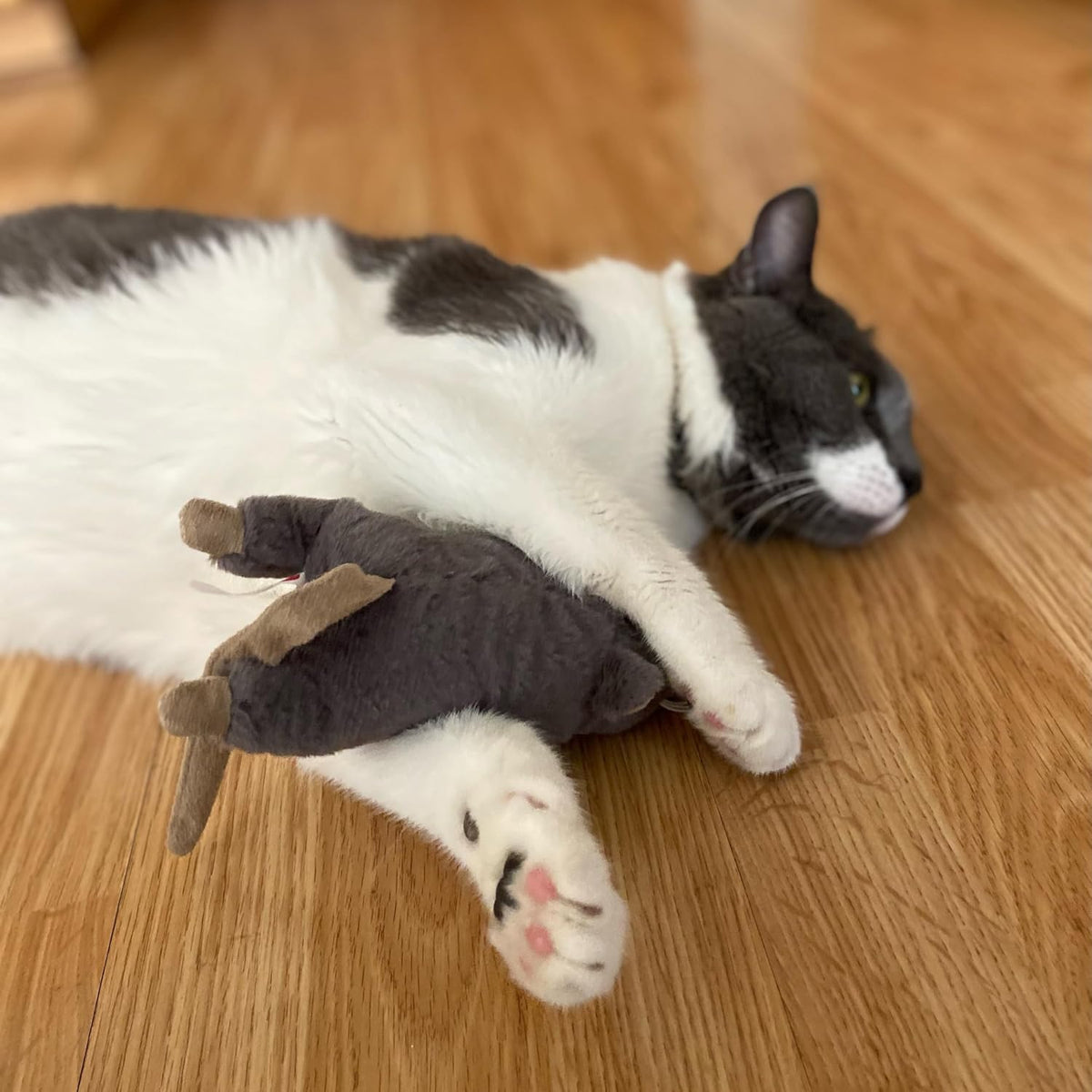 SPOT Big Mouse Bertha Cat Toy with Catnip – Lifelike Plush Mouse, Crinkle Sound, Large 7in Size, for Cuddling, Chasing, 